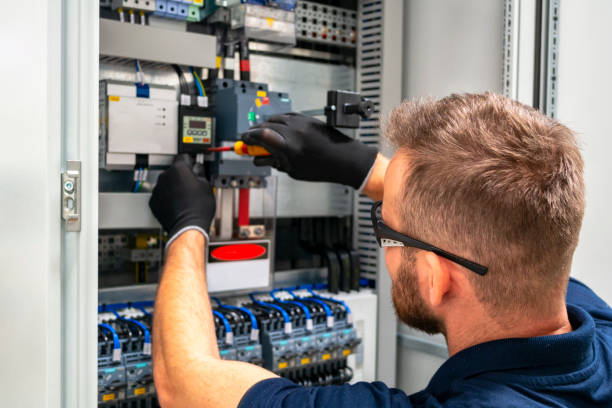 Best Electrical System Inspection  in Sitka, AK