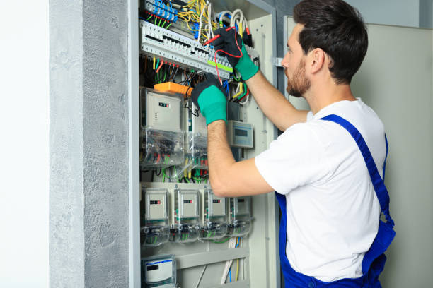 Best Electrical Repair Services  in Sitka, AK